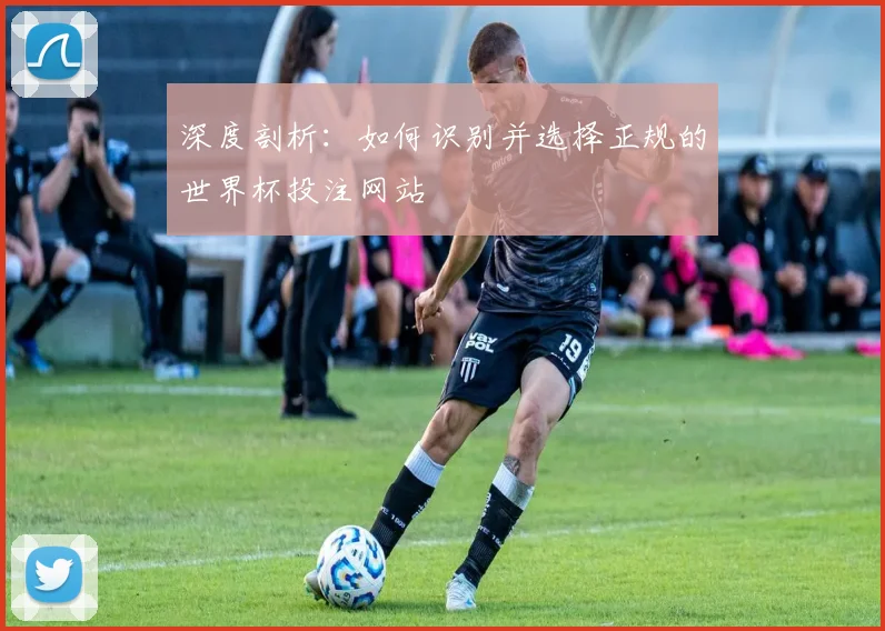 深度剖析：如何识别并选择正规的世界杯投注网站